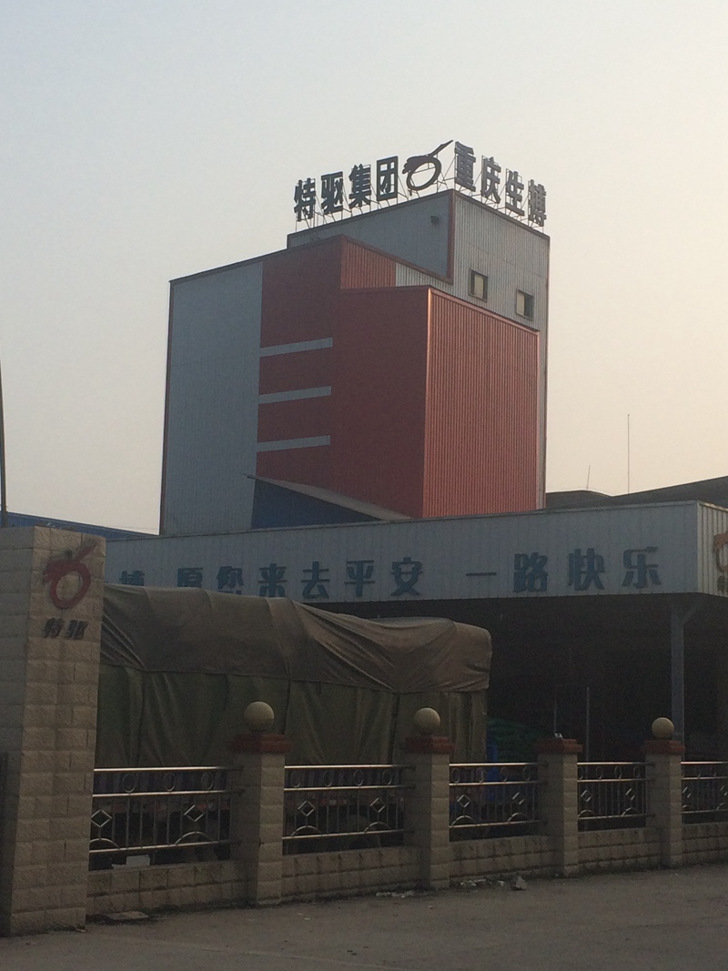 重庆生搏蛋鸡料线和鱼料线工程