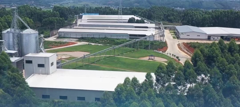 养殖场蛋鸡料输送工程